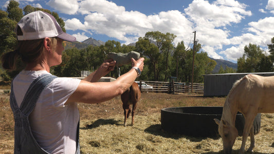 Jill Soukup - The Complete Horse Painting Experience