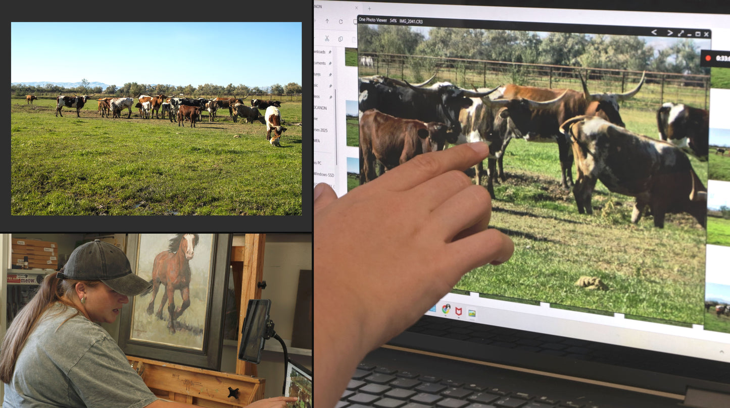 Madelynn Mutter: Taking Your Own Reference Photos