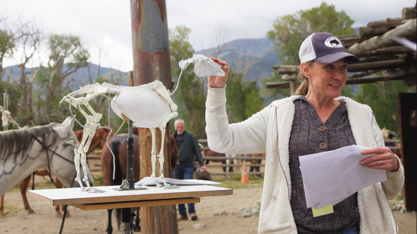Jill Soukup - The Complete Horse Painting Experience