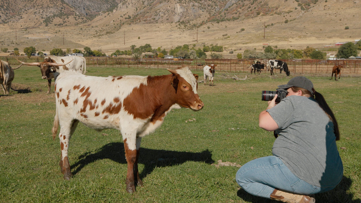 Madelynn Mutter: Taking Your Own Reference Photos