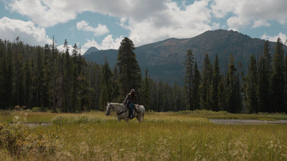 Sarah Dean: The Yellowstone Workshop